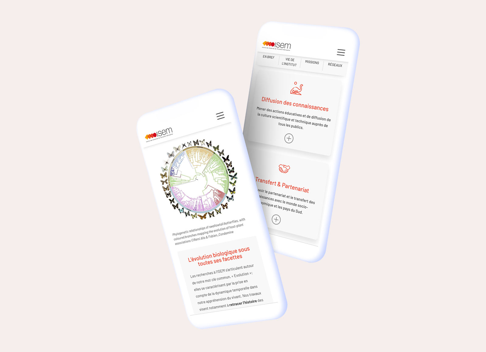 Refonte site web ISEM